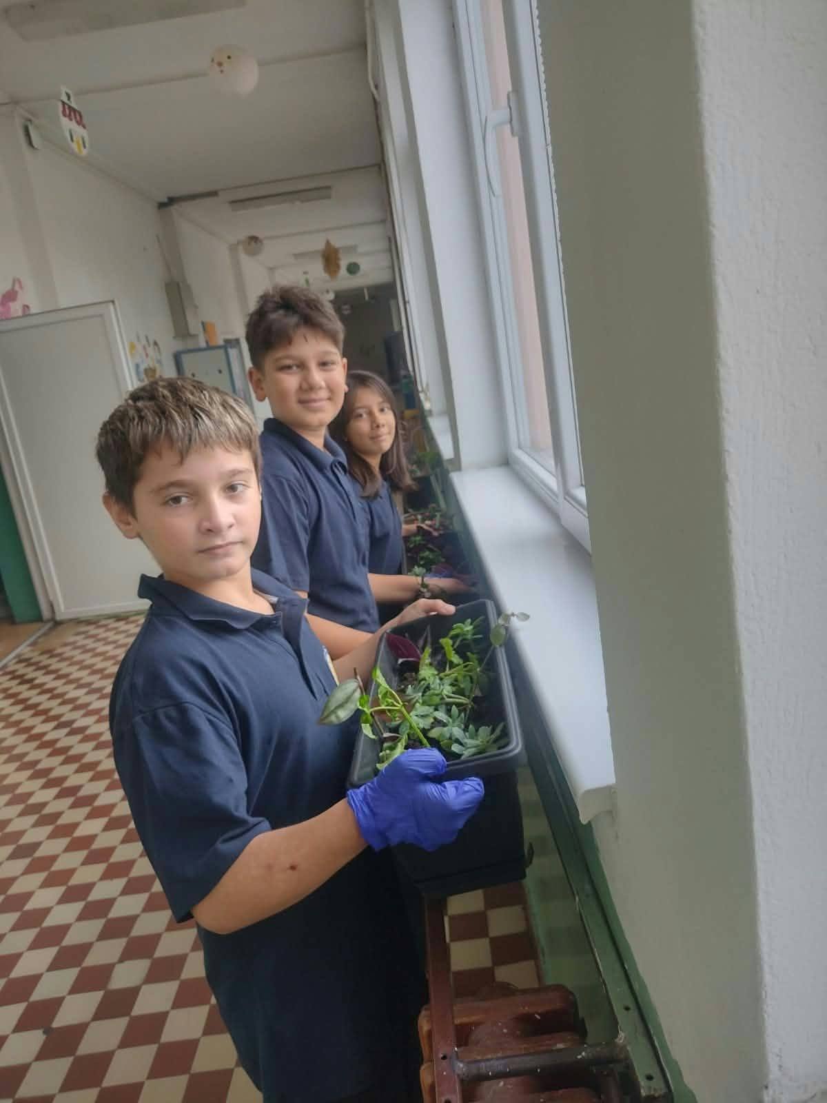 Student participating in the project activity